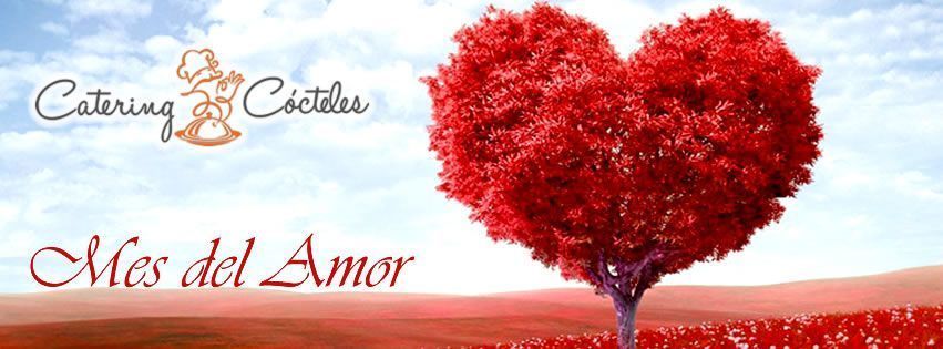 cena romantica a domcilio